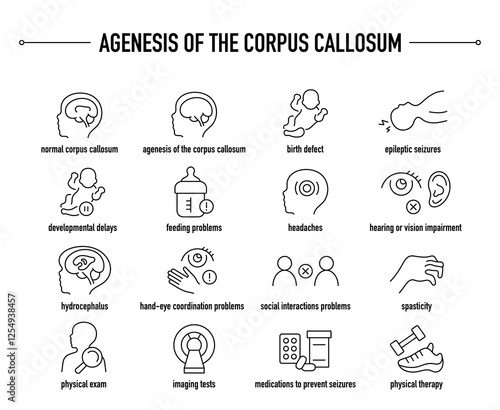Agenesis of the Corpus Callosum symptoms, diagnostic and treatment vector icon set. Line editable medical icons.