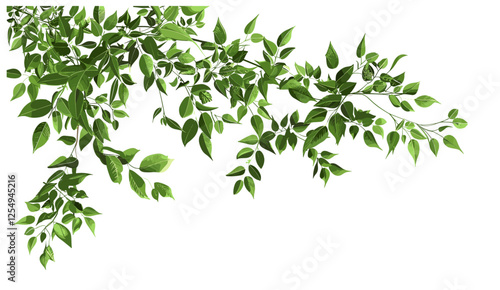 Greenery leaves branch vector illustration, transparent background, relaxing flow, cutout design, nature, foliage, botanical, minimalism, peaceful, modern, natural elements, harmony,