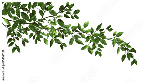 Greenery leaves branch vector, relaxing flow, cutout, transparent backgrounds, nature, foliage, natural beauty, calm, serene, fresh design, botanical, organic elements, tranquility