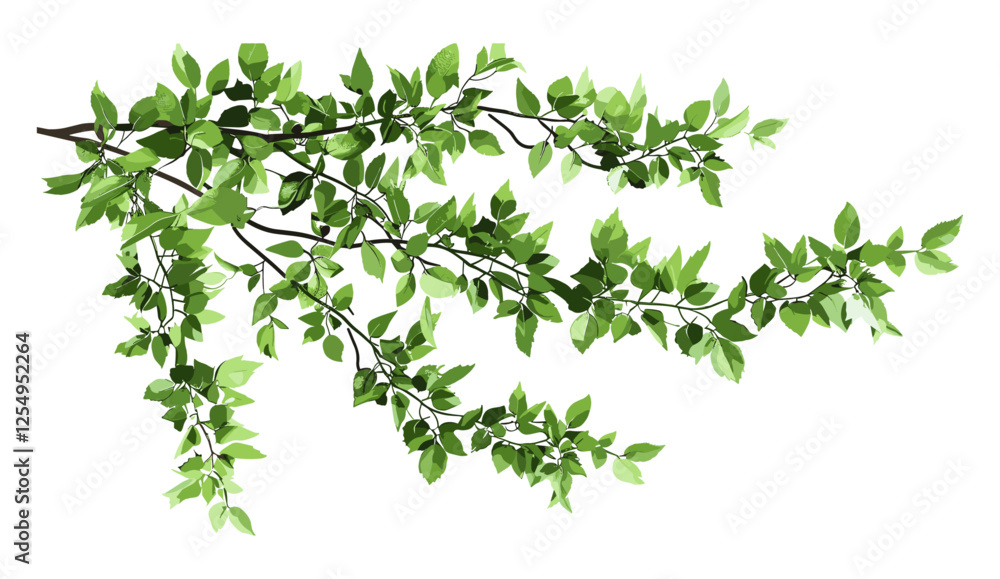 Vector illustration of isolated tree branch with greenery foliage composition on top, botanical design, nature element, transparent png, plant clipart, eco-friendly art, natural leaves, organic Vector illustration of isolated tree branch with greenery foliage composition on top, botanical design, nature element, transparent png, plant clipart, eco-friendly art, natural leaves, organic
