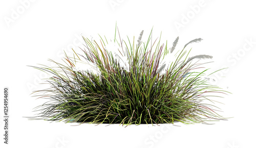 3d illustration, vector, landscaping, white feather, overgrown grass, cut out backgrounds, PNG, nature design, creative illustration, grass texture, garden decor