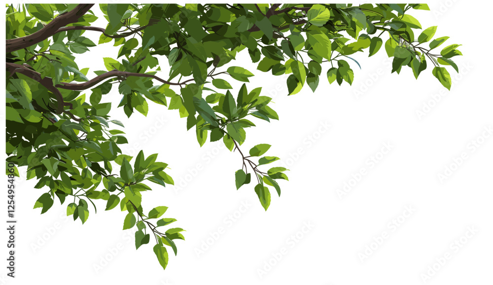 Vector illustration large tree branches foliage leaves top border png, nature elements, green leaves, botanical design, tree frame, foliage border, natural background, eco-friendly image Vector illustration large tree branches foliage leaves top border png, nature elements, green leaves, botanical design, tree frame, foliage border, natural background, eco-friendly image