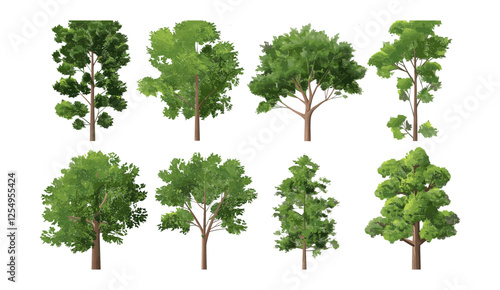 Large trees vector illustration, hardwood shapes on transparent PNG, nature, trees, eco-friendly, forest landscape, natural shapes, environment, green plants, foliage