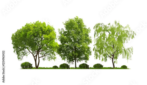 Vector illustration of green perennial trees for nature landscape, transparent background, forest plants, environmental design, outdoor greenery, eco-friendly, natural scenery