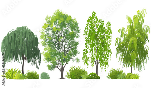 Perennial trees vector illustration for landscape, green nature, transparent background, environmental design, forest scenery, outdoor greenery, ecological plants, landscape plants