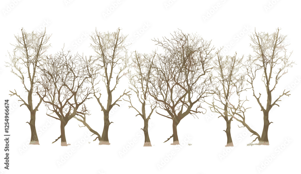 Fototapeta premium Outside trees, vector illustration, seasonal dry trees, cutout trees, landscaped trees, transparent background, nature illustration, outdoor trees, seasonal landscape, tree art.