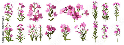 Pink flowers bloom vector illustration ornamental isolate on transparent backgrounds, floral design, spring flowers, nature, isolated flowers, blooming petals, decorative