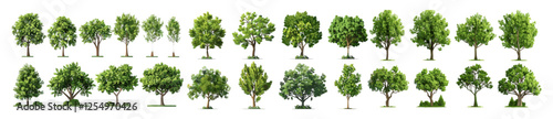 vector illustration parks trees environmental set isolated on transparent background PNG, nature icons, eco-friendly, green parks, landscape design, outdoor environment, eco parks