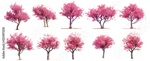Isolated vector illustration of blossoming pink flowery trees set on transparent backgrounds, vibrant, nature, floral, spring, growth, greenery, botanical, outdoor scene, beautiful trees