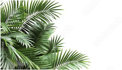 Palm leaves vector, realistic shrubs, transparent background, tropical plants, nature corner, botanical greenery, lush palms, tropical foliage, exotic greenery, natural background
