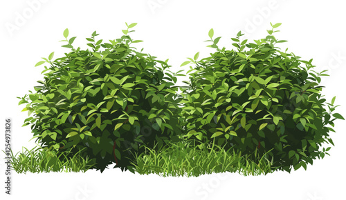 Realistic vector illustration of greenish tropics shrubs isolated on transparent background, tropical plants, lush greenery, nature design, jungle foliage, tropical leaves