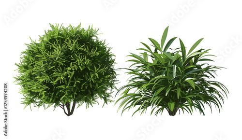 Vector illustration of realistic greenish tropics shrubs, isolated greenery, tropical jungle plants, lush foliage, nature background, tropical leaves, exotic plants, foliage design