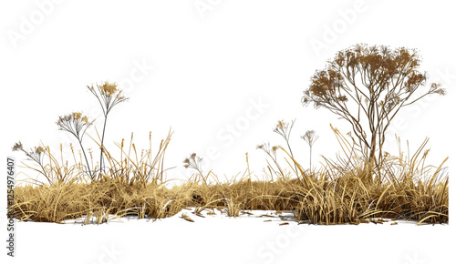 Savanna dried grass field cutout vector illustration, 3d illustration, png, natural grass, landscape design, nature backdrop, wild field, dry savanna grass, environmental art