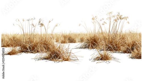 illustration of Savanna dried grass field, vector cutout background, nature scene, savanna grass, landscape png, wild nature, grassy plain, environmental art, desert