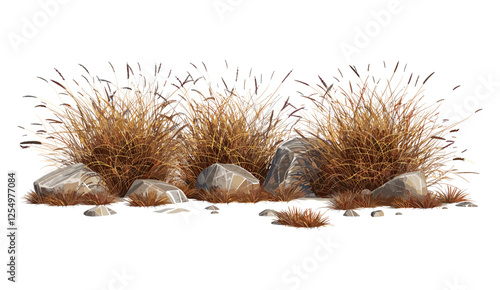Savanna dry grass meadow rocks with shrubs isolated, vector illustration, transparent background, wild terrain, dry vegetation, natural landscape, grassland, desert flora
