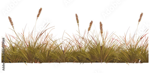 Savanna grass meadow field row cutout transparent backgrounds PNG, African savannah vector, wildlife illustration, nature scene, dry grassland, isolated flora, savannah landscape