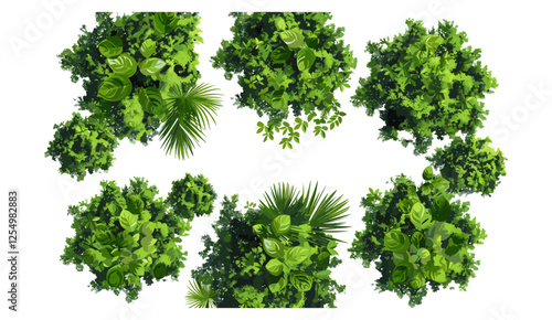 Jungles top view, greenery trees isolated, vector illustration, transparent backgrounds PNG, tropical nature, dense canopy, lush green plants, exotic forest, overhead scene, foliage, environment