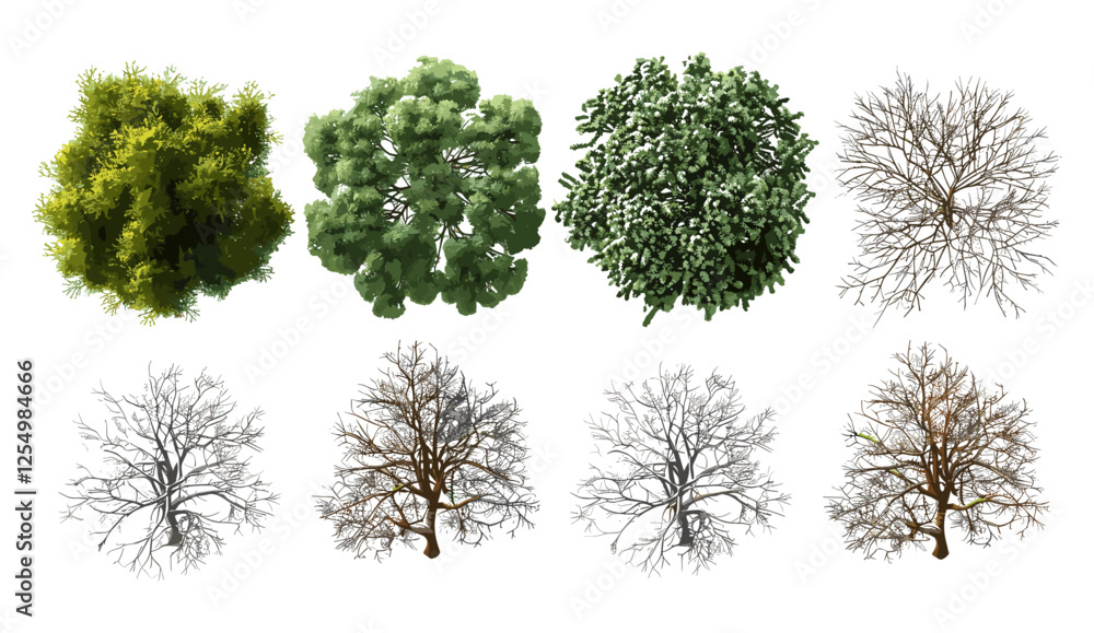 Fototapeta premium Evergreen trees, dried trees, vector cutout, nature backgrounds, forest silhouettes, tree illustrations, seasonal tree backgrounds, landscape cutout, seasonal backgrounds