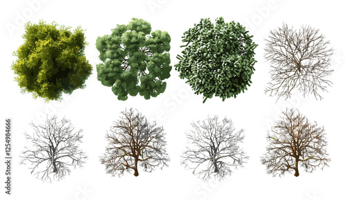 Evergreen trees, dried trees, vector cutout, nature backgrounds, forest silhouettes, tree illustrations, seasonal tree backgrounds, landscape cutout, seasonal backgrounds