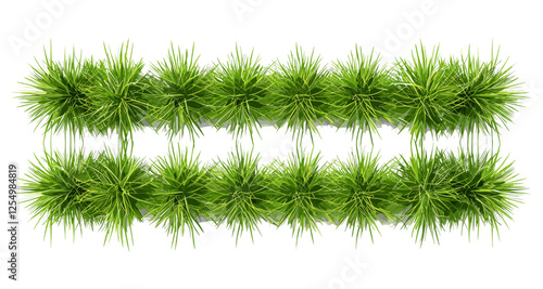 Vector illustration, farming landscape, realistic grassy row, agricultural field, crops growth, farm planting, nature farming, green rural fields, agriculture environment
