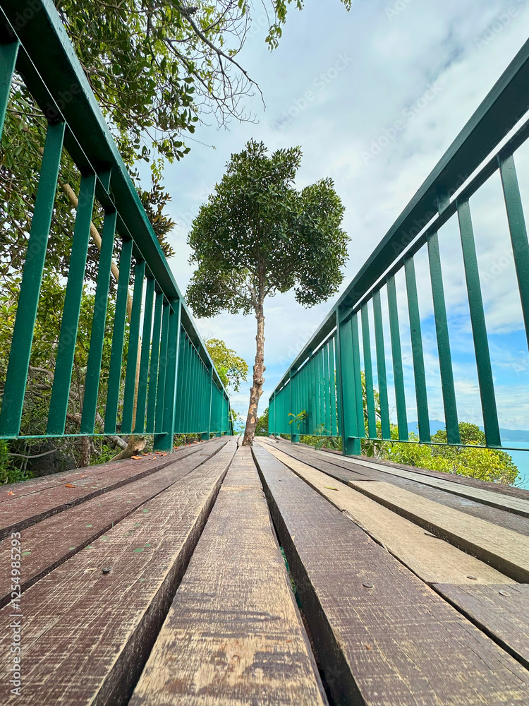 Fototapeta premium railway bridge in the forest with a tree growing in the middle