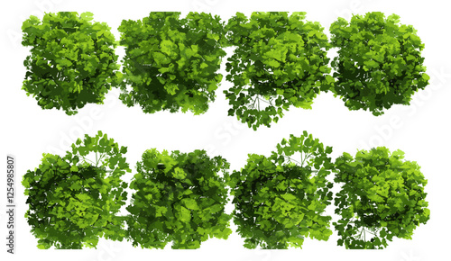 Vector illustration of greenery, forest trees, forest landscape, nature, lined trees, tranquil forest, environmental concept, peaceful scenery, lush greenery, outdoor forest design