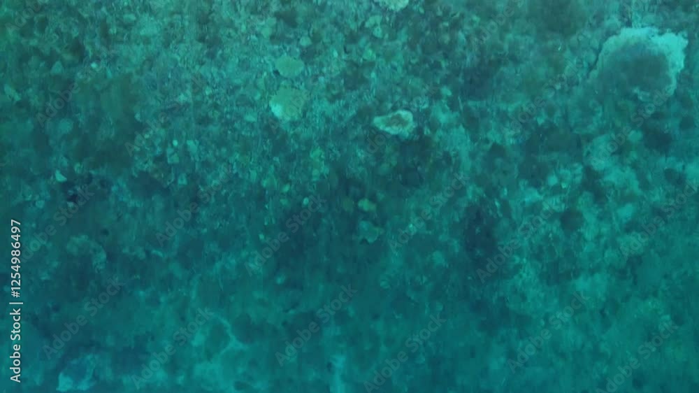 Sea background, sea surface with water movement. Adriatic sea view from above Sea background, sea surface with water movement. Adriatic sea view from above