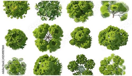 Vector illustration jungle trees cut out shapes, top view, tropical forest leaves, nature patterns, green foliage, eco design, wild landscape, nature artwork, tropical environment