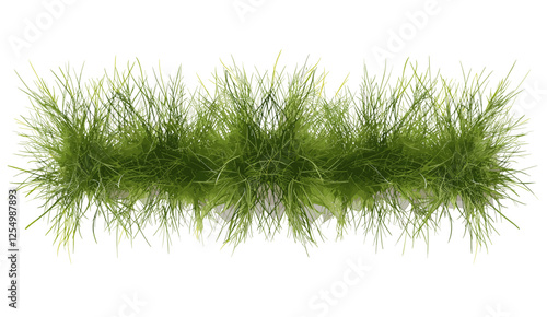 Vector illustration top view landscape perspective long grass row, clipart on transparent background, green grass, nature, field, plants, outdoor, fresh, summer, environment