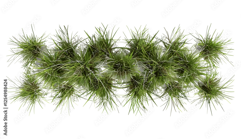 Nature vector illustration, savanna flora, realistic grass row, landscape view, African grassland, wild plants, natural scenery, vibrant terrain, green field, open plains Nature vector illustration, savanna flora, realistic grass row, landscape view, African grassland, wild plants, natural scenery, vibrant terrain, green field, open plains
