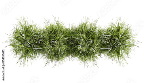 Savanna flora, nature vector illustration, realistic landscape, grass row, wild plants, African terrain, green field, vibrant grassland, open plains, nature background