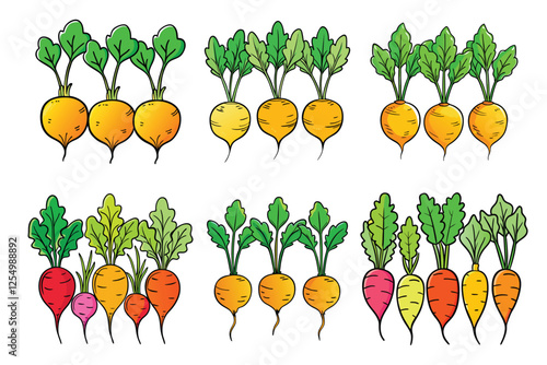 Goldens Beets vector illustration isolated on white background.