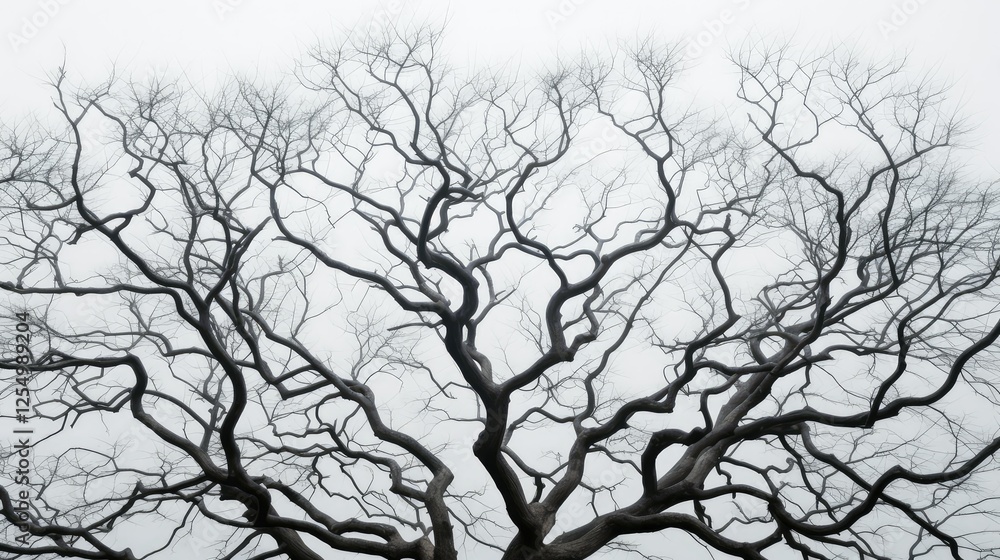 network trees with no leaves network trees with no leaves