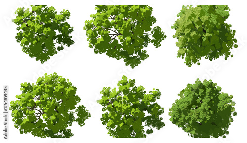 Greenery outside vector illustration, tree landscape, natural beauty, serene park, fresh air, tranquil outdoors, vibrant forest, peaceful environment, rural scenery, lush trees