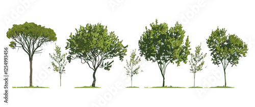 Outdoor tree vector illustration, landscape trees, nature decor, garden collection, landscape design, outdoor landscape, tree form, natural environment, decorative trees