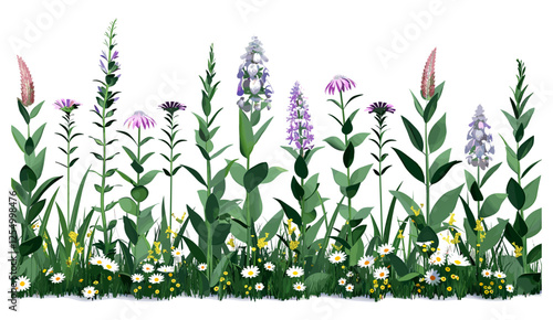 Wallpaper Mural Wildflower bloom plants, vector illustration of nature, botanical artwork, spring flowers, outdoor floral design, meadow plants, countryside bloom, wild flora Torontodigital.ca