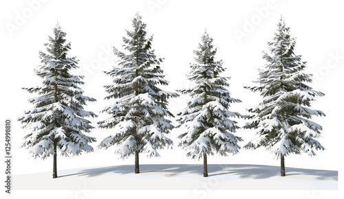 Pine trees, winter landscape, frosted cover, snow, snow-covered trees, winter forest, pine forest, frozen trees, cold winter, snowy nature, winter woods, snow-covered branches