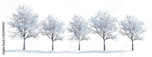 Snow-covered trees, wintry landscape, frosty winter trees, snow-covered branches, cold weather, winter forest, icy scenery, frozen nature, serene winter, tranquil snow
