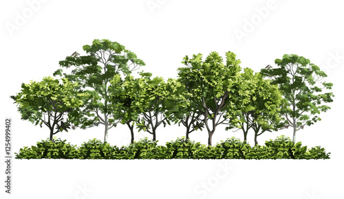 Woods landscape, tropics trees, vector illustration, tropical forest, nature, green trees, outdoor scenery, lush vegetation, serene environment, wilderness, summer vibes
