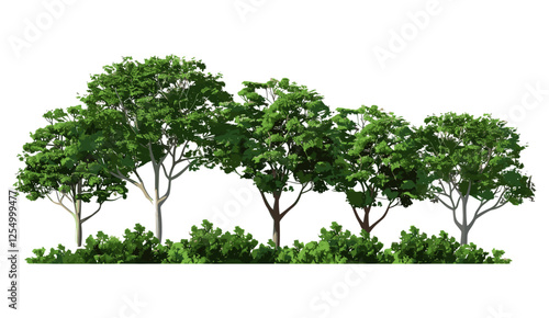 Tropical trees, woods landscape, vector illustration, forest view, lush greenery, nature outdoors, wild trees, landscape design, tropical vegetation, tranquil forest