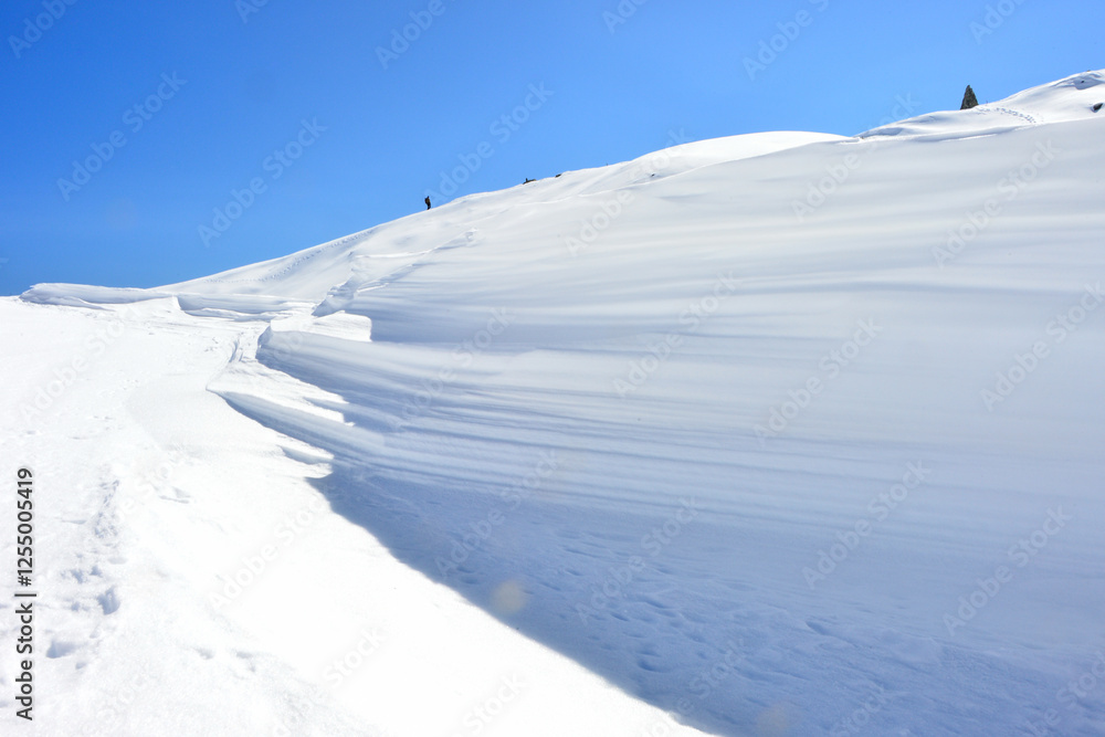 Obraz premium 八方尾根のシュカブラ