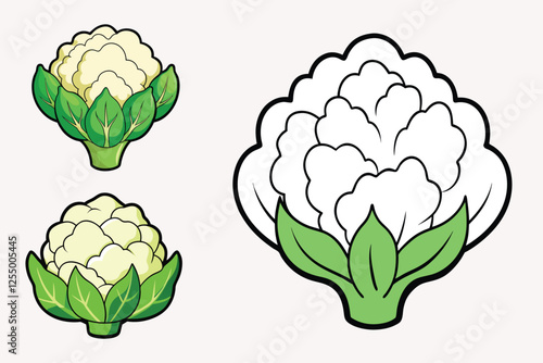 Cauliflower vector illustration isolated on white background.