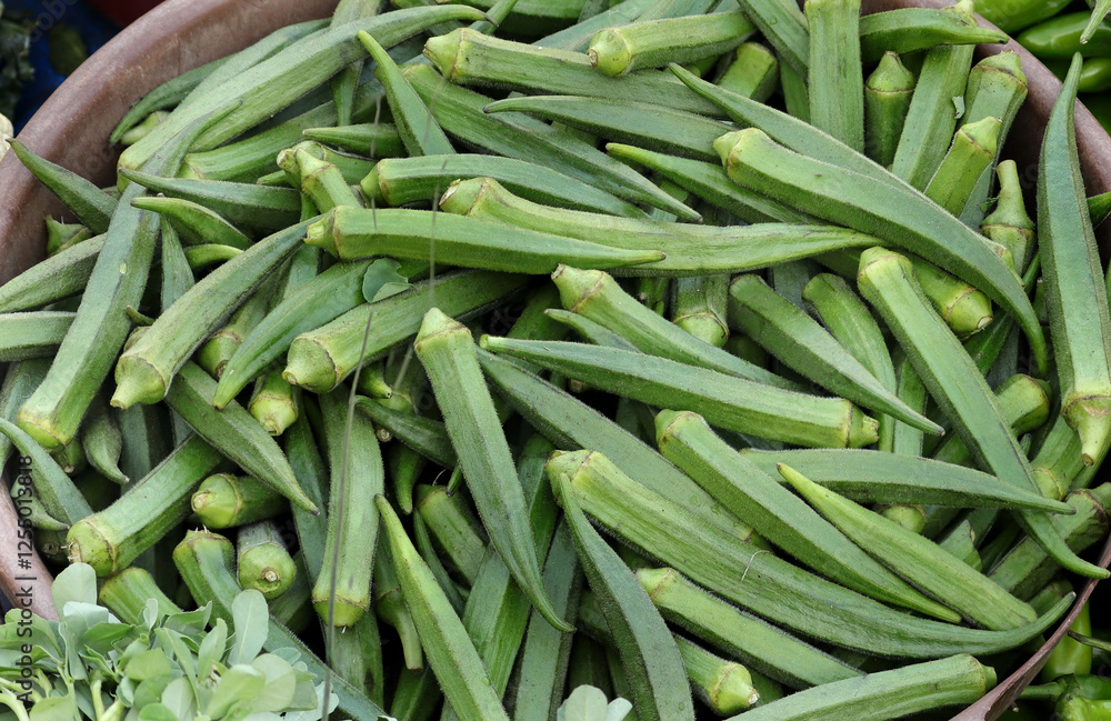 exotic vegetables. Okra lady finger, Bhindi, Fresh green roselle, ingredient of asian food. Okra or Okra Abelmoschus esculentus as ladies' finger or other is a flowering plant in the mallow family. exotic vegetables. Okra lady finger, Bhindi, Fresh green roselle, ingredient of asian food. Okra or Okra Abelmoschus esculentus as ladies' finger or other is a flowering plant in the mallow family.