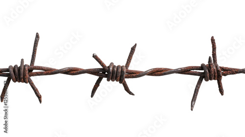 rusty barbed wire isolated on transparent white background, clipping path