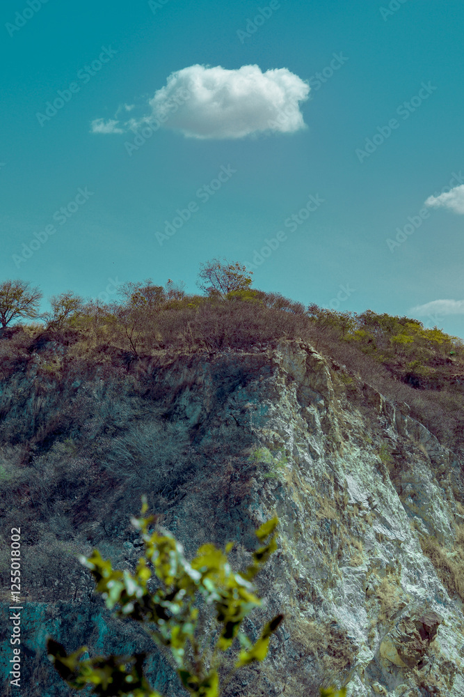 A rocky hillside with a sparse amount of vegetation and a single fluffy cloud