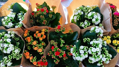 Valokuva Colorful Flower Bouquets Embracing Natures Incredible Charm and Beauty in Full B