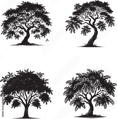 Tamarind Tree Silhouettes Collection - Vector Illustrations