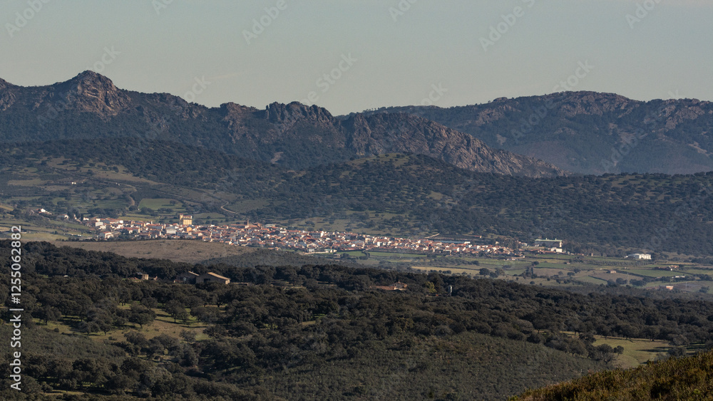 Alía Alía
