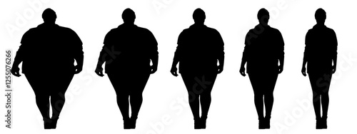 Conceptual fat overweight obese female vs slim fit healthy body after weight loss or diet on white background banner. A  fitness, nutrition or obesity, health shape illustration vector as silhouettes