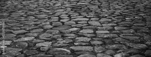 Quadro su tela stone pavement in perspective